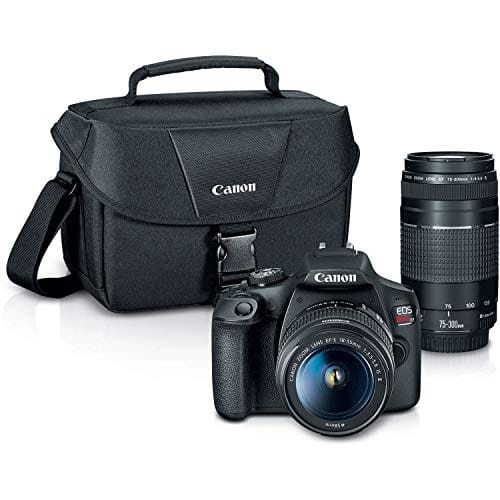 Best Camera for Wildlife Photography